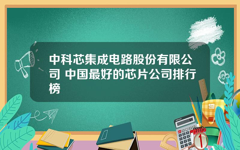 中科芯集成电路股份有限公司 中国最好的芯片公司排行榜